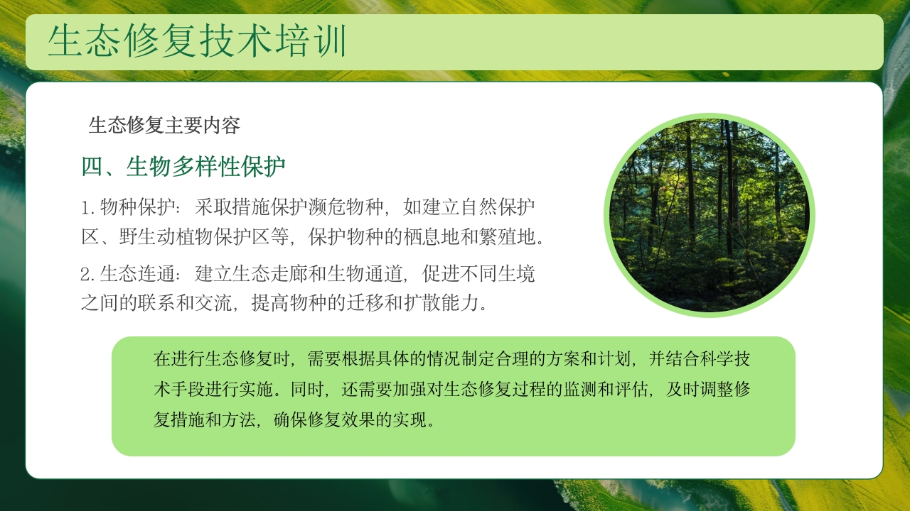 生态修复培训保护生态技术培训PPT课件16