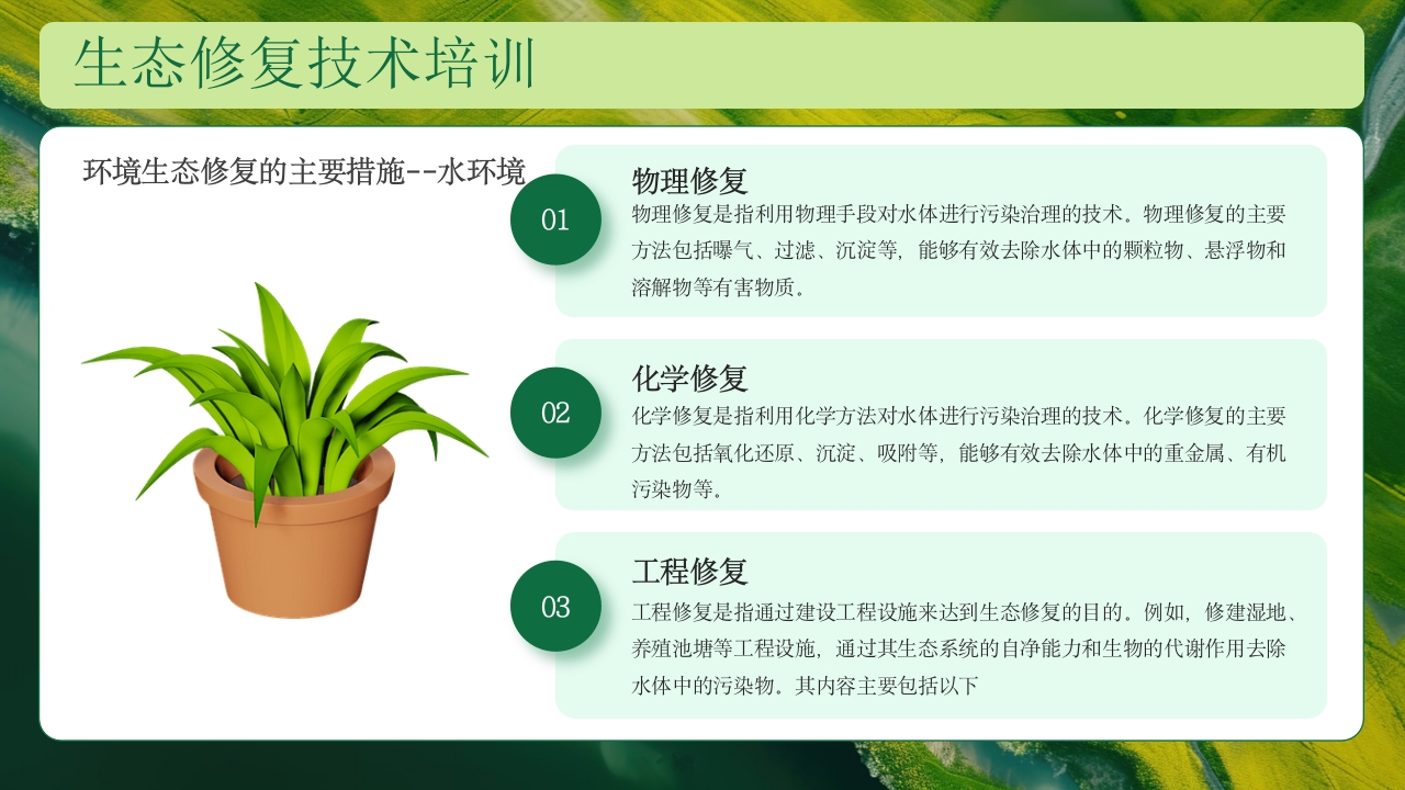生态修复培训保护生态技术培训PPT课件18