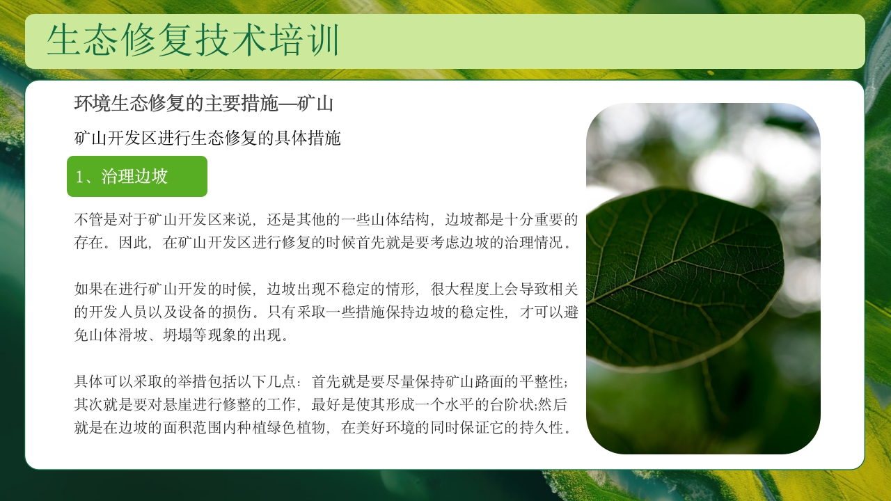 生态修复培训保护生态技术培训PPT课件19