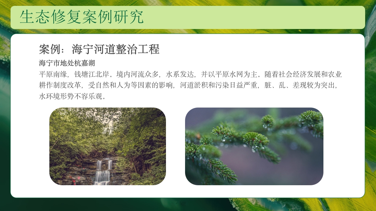 生态修复培训保护生态技术培训PPT课件23