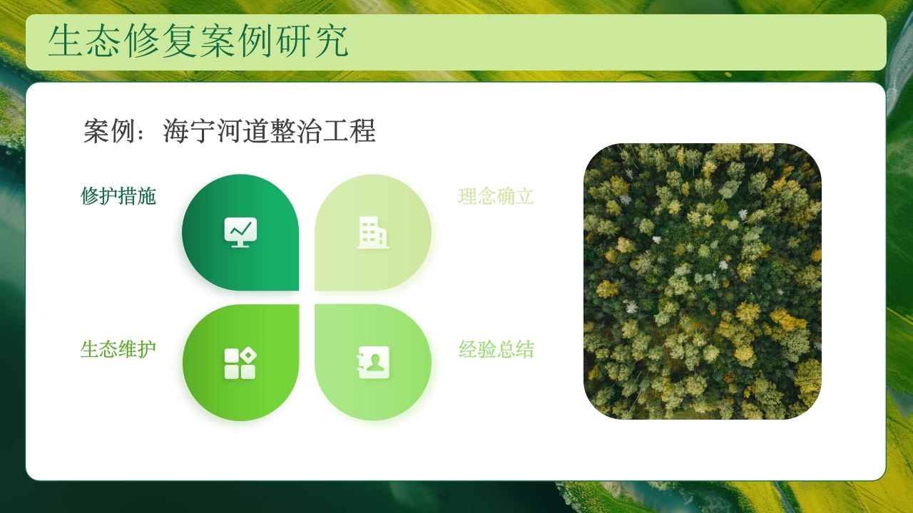 生态修复培训保护生态技术培训PPT课件24