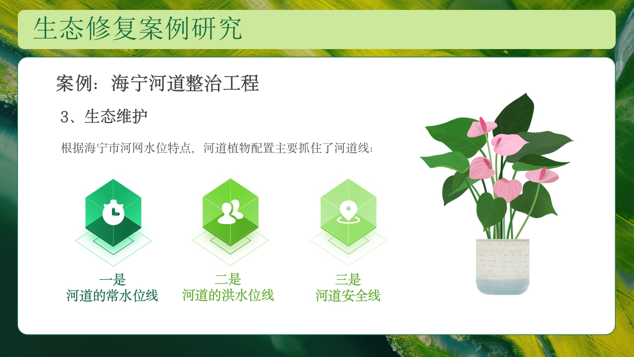 生态修复培训保护生态技术培训PPT课件27