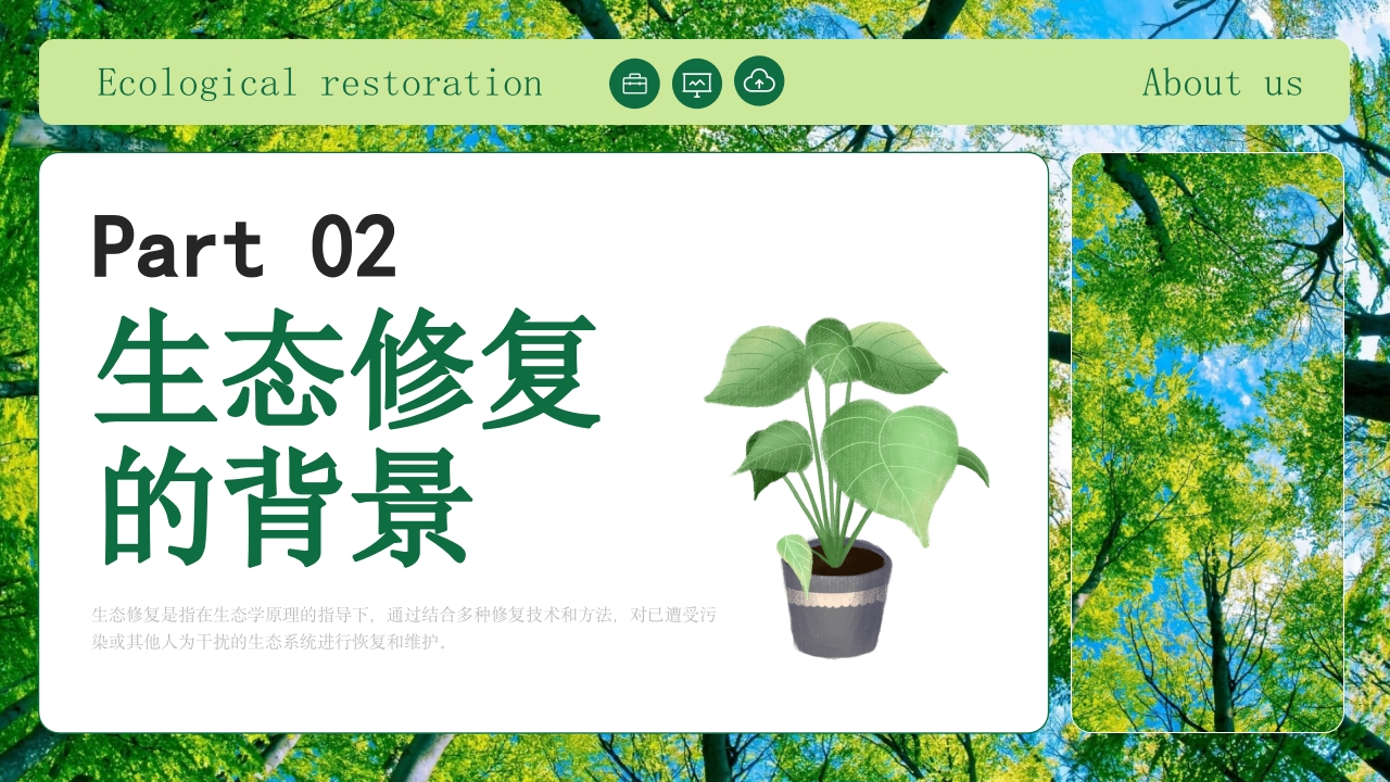生态修复培训保护生态技术培训PPT课件8