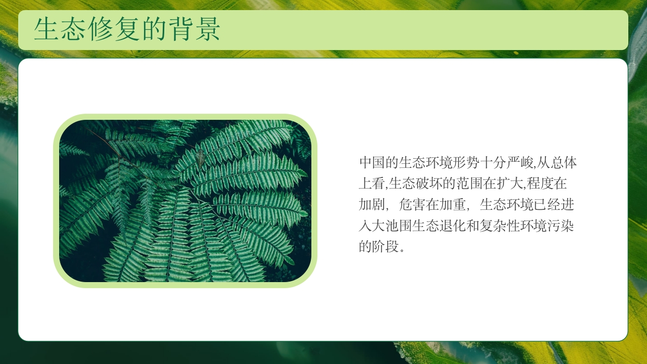 生态修复培训保护生态技术培训PPT课件9