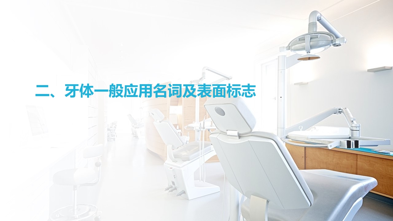 口腔基本结构PPT课件22