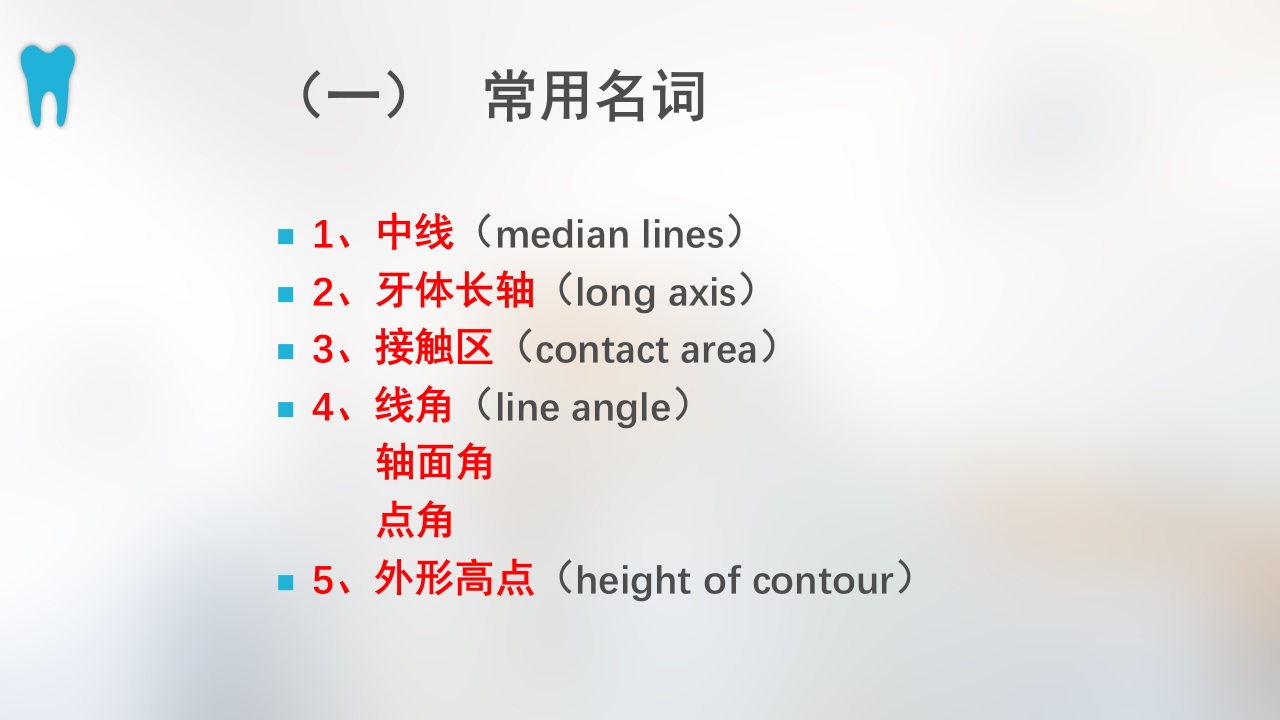 口腔基本结构PPT课件23