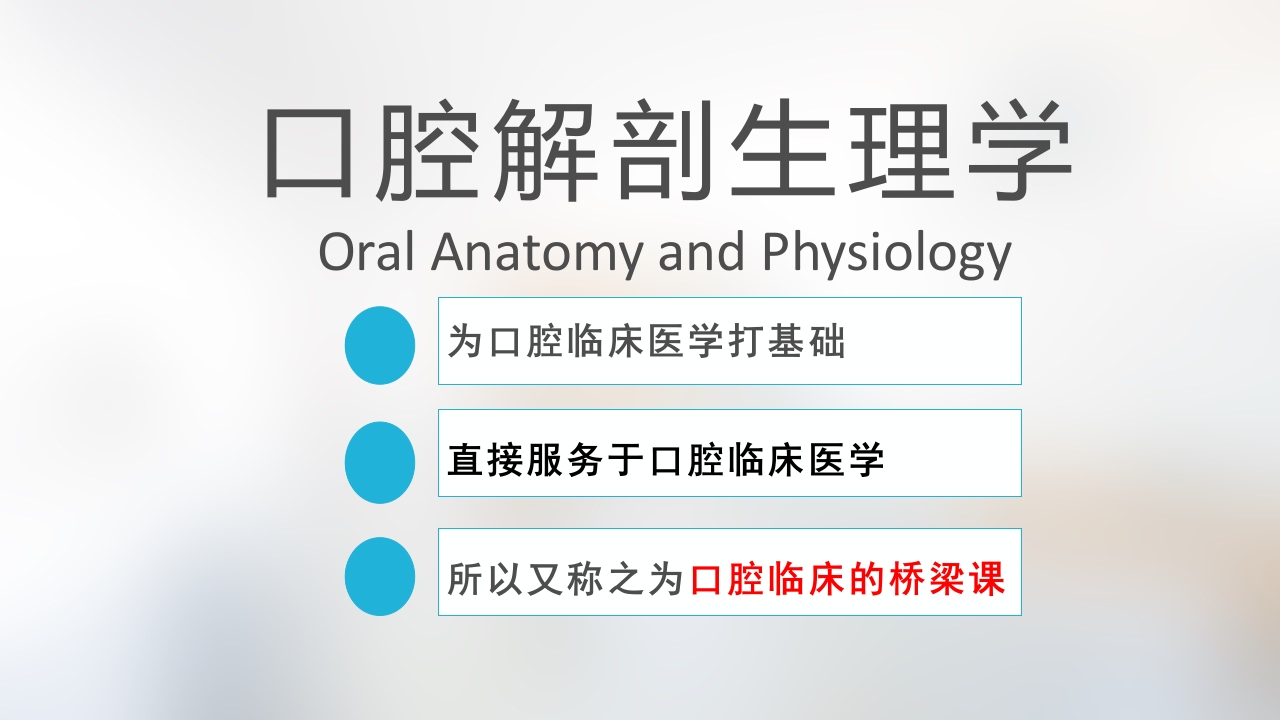 口腔基本结构PPT课件2