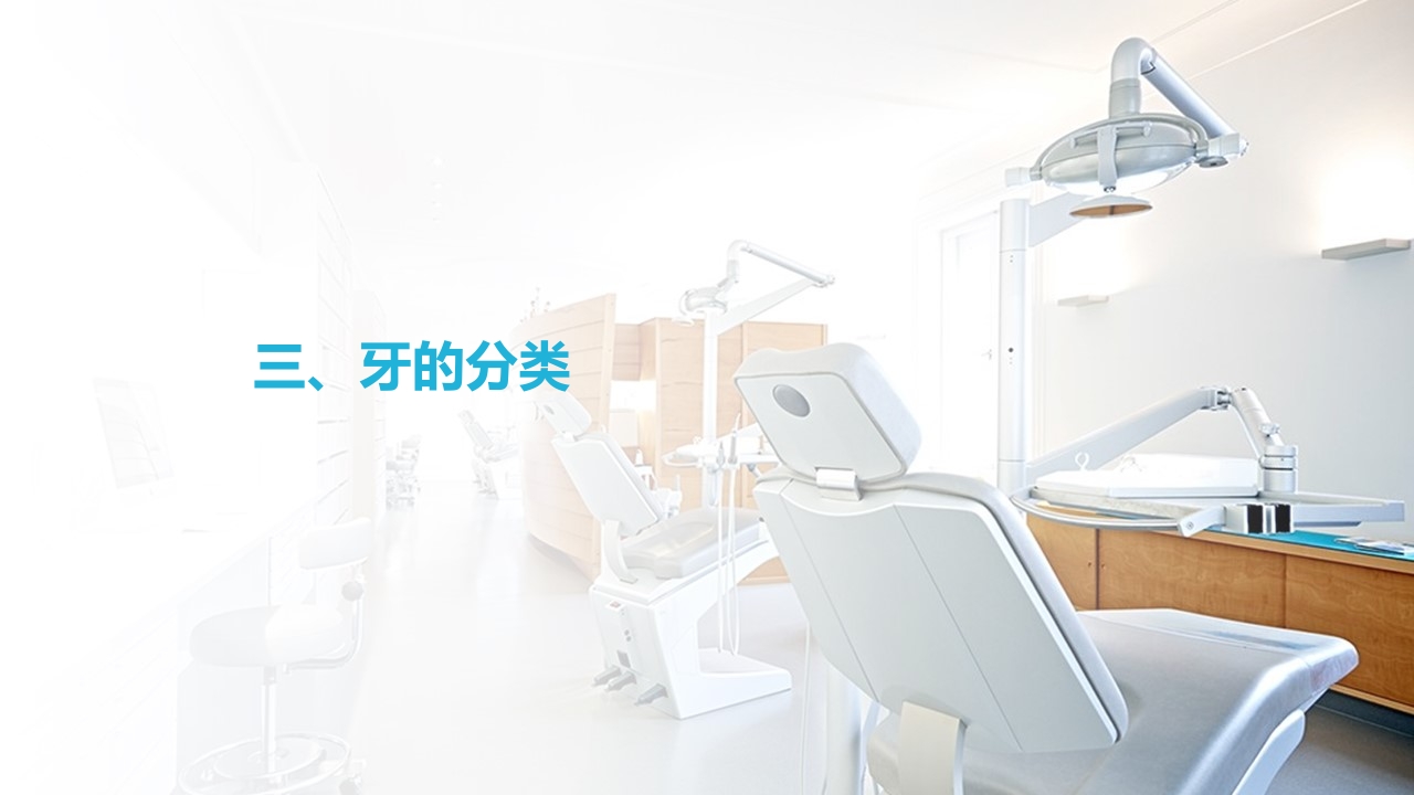 口腔基本结构PPT课件34