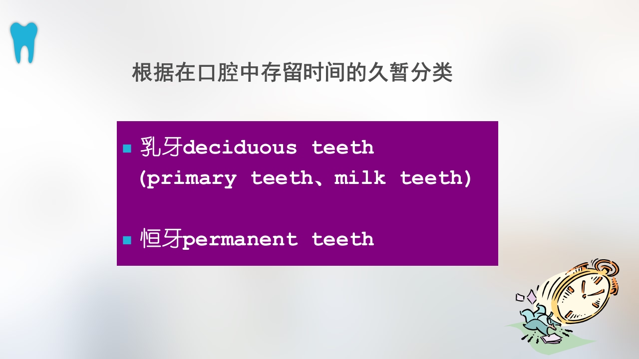 口腔基本结构PPT课件40