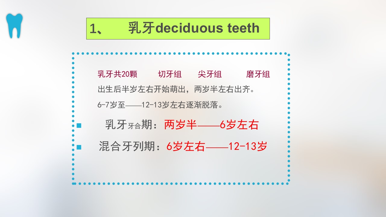 口腔基本结构PPT课件41