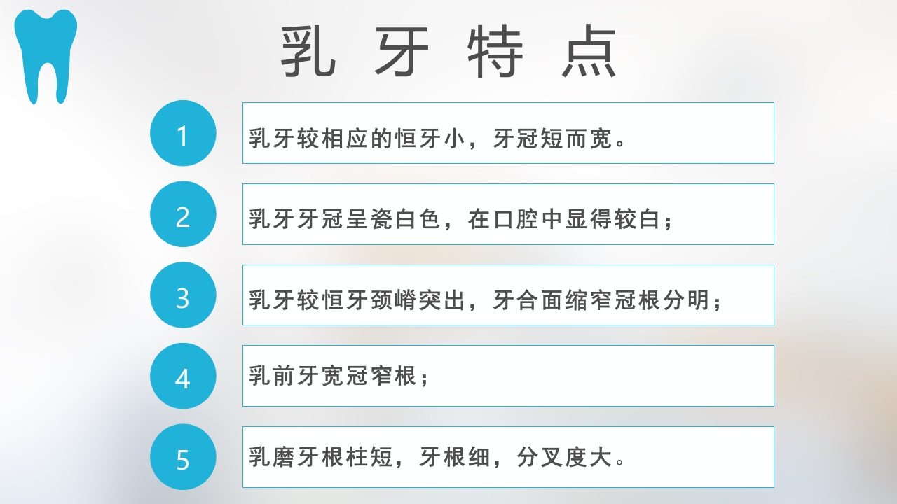 口腔基本结构PPT课件43