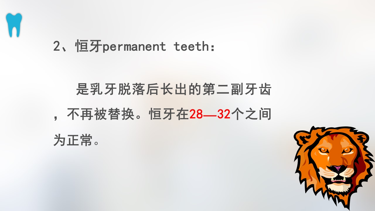 口腔基本结构PPT课件44