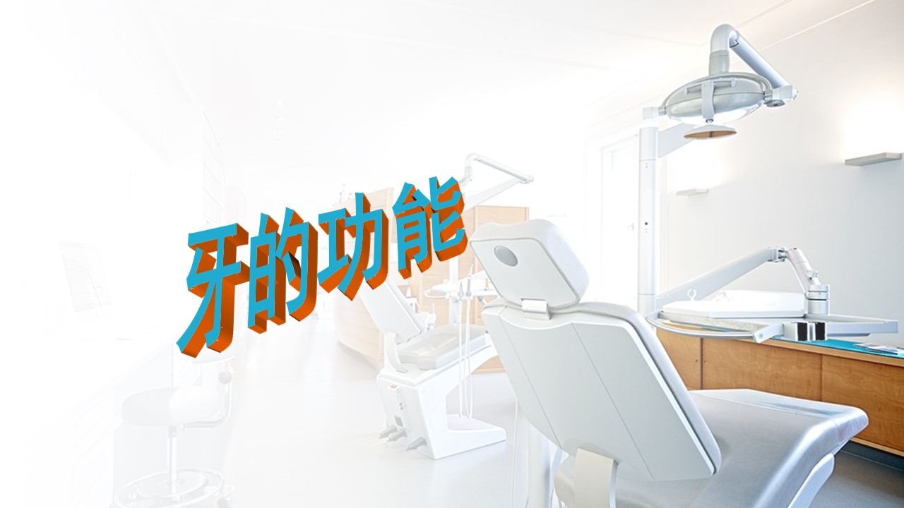 口腔基本结构PPT课件50