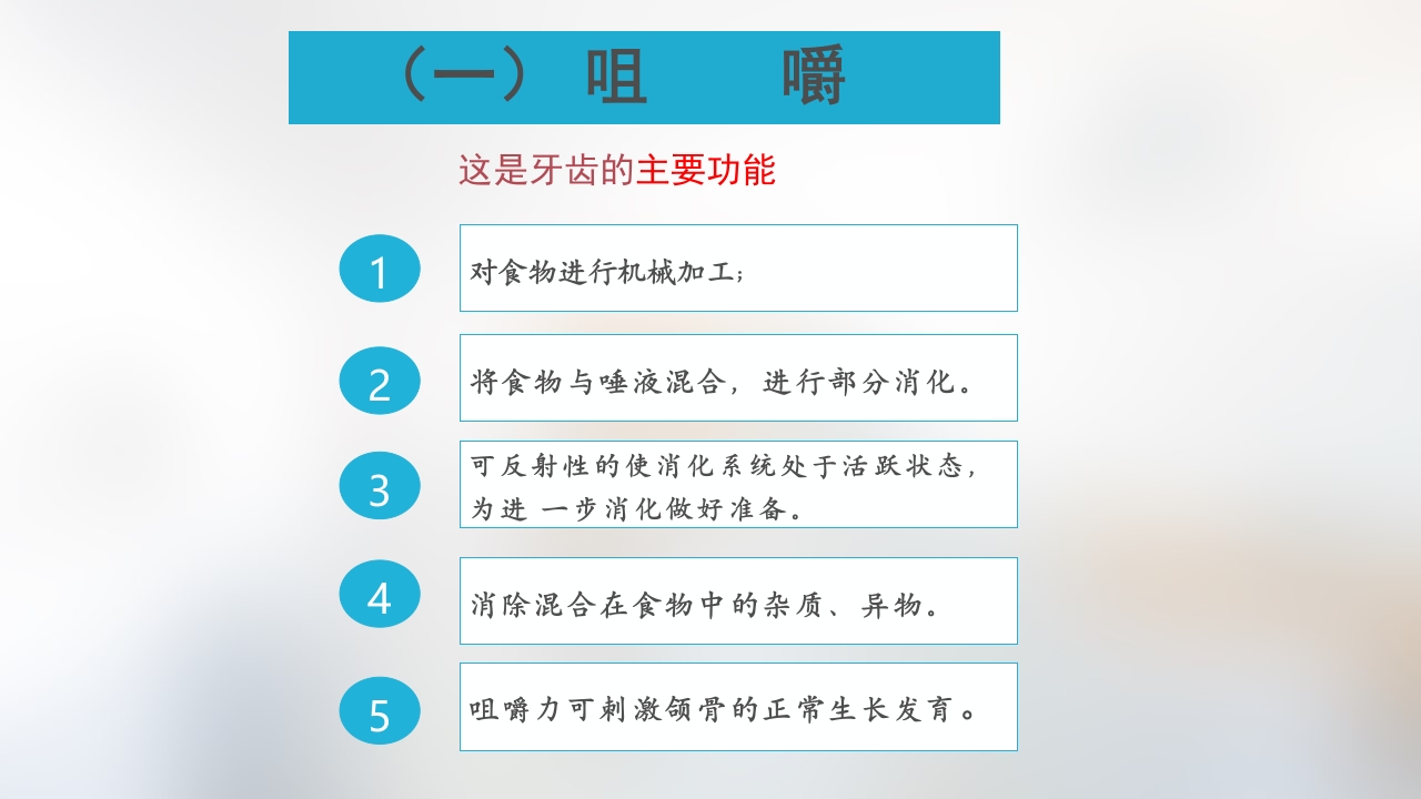 口腔基本结构PPT课件51