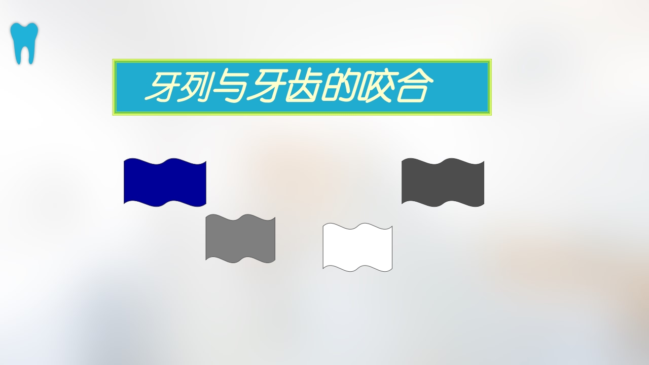 口腔基本结构PPT课件53