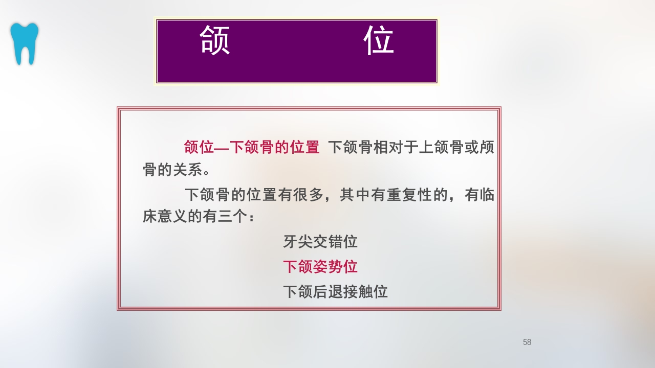 口腔基本结构PPT课件58