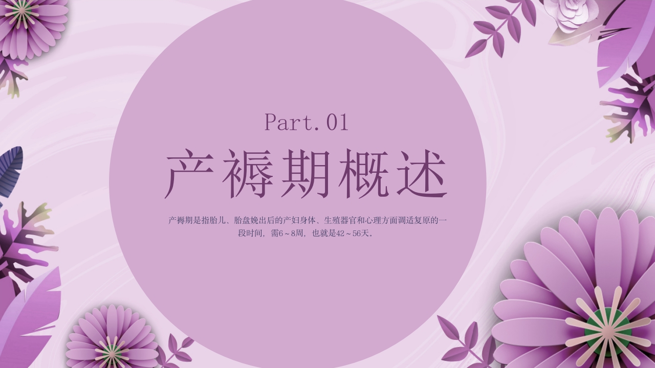 产褥期护理培训PPT课件3