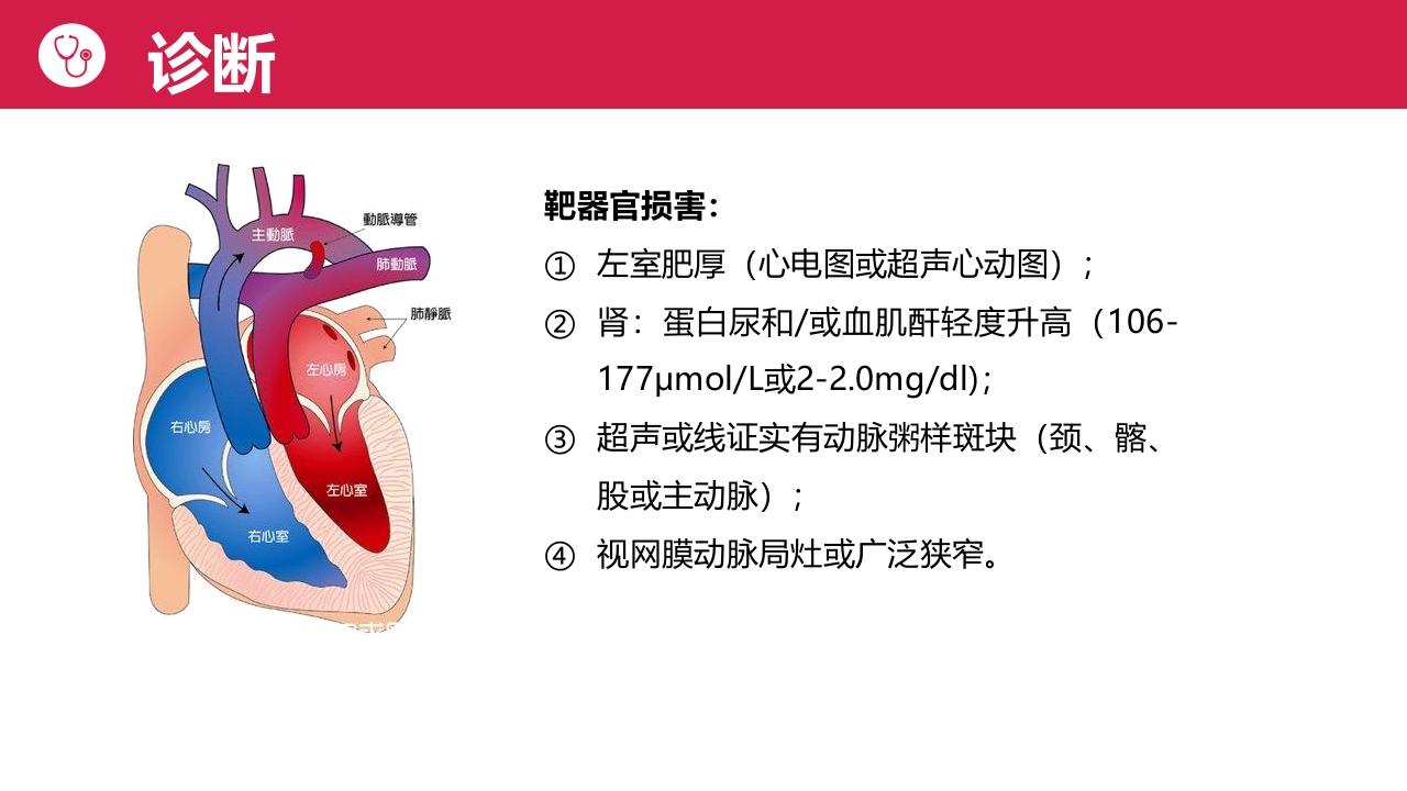 高血压病人护理PPT课件13