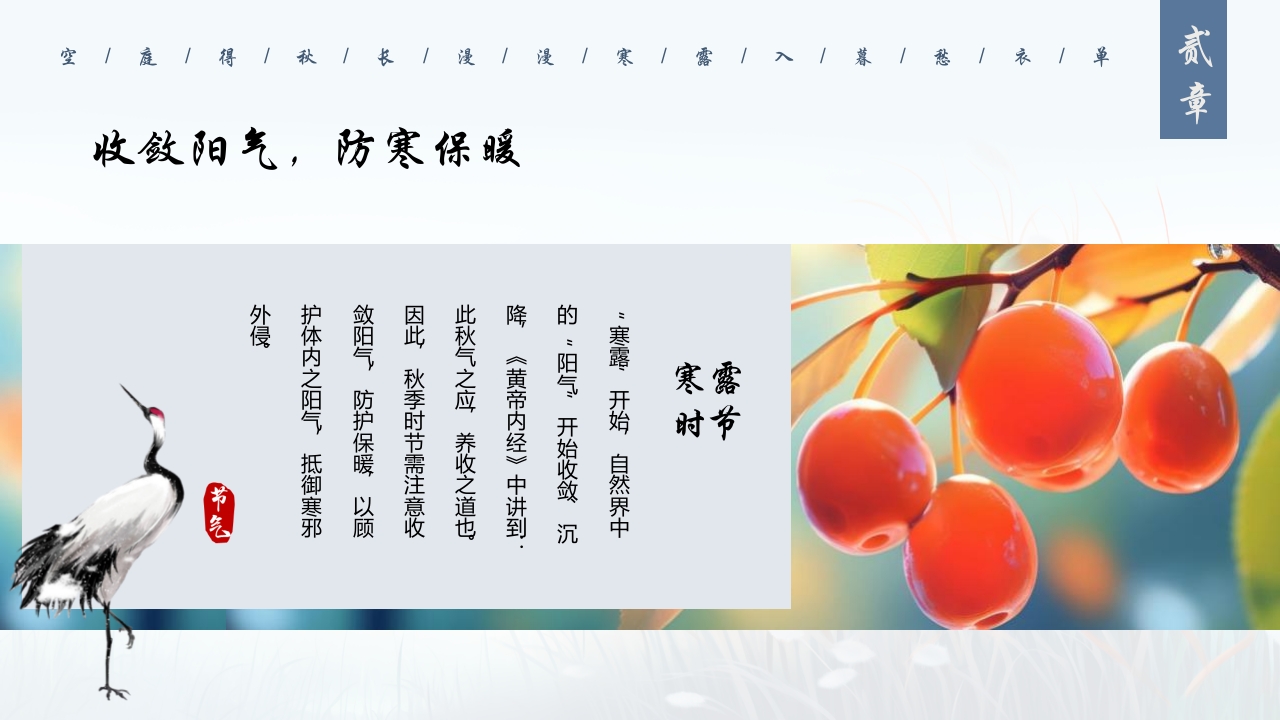 蓝色插画风深秋寒露谈养生PPT11
