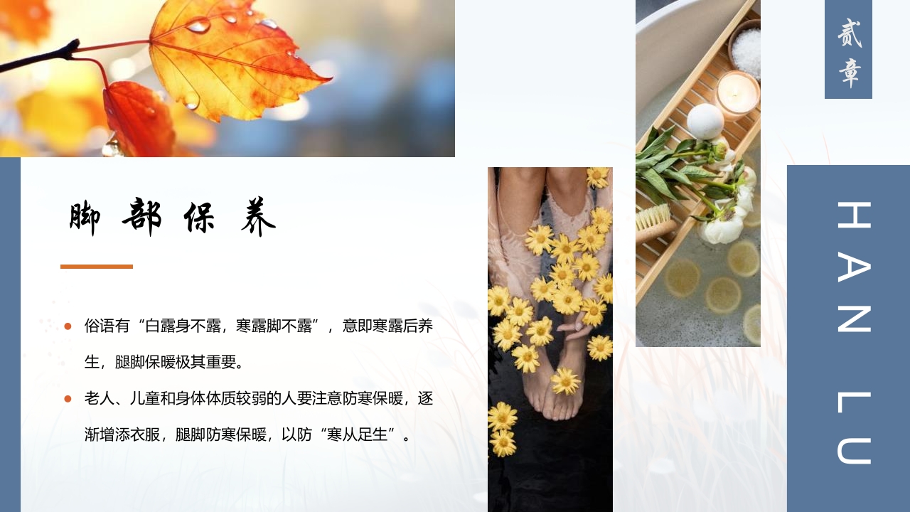 蓝色插画风深秋寒露谈养生PPT12