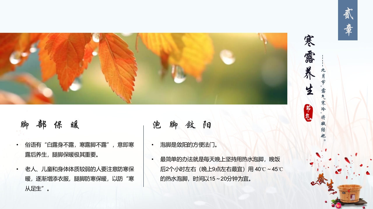 蓝色插画风深秋寒露谈养生PPT13