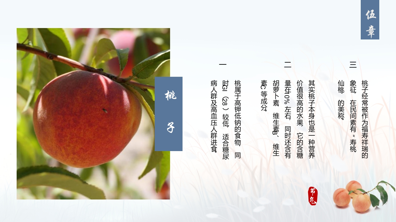 蓝色插画风深秋寒露谈养生PPT22