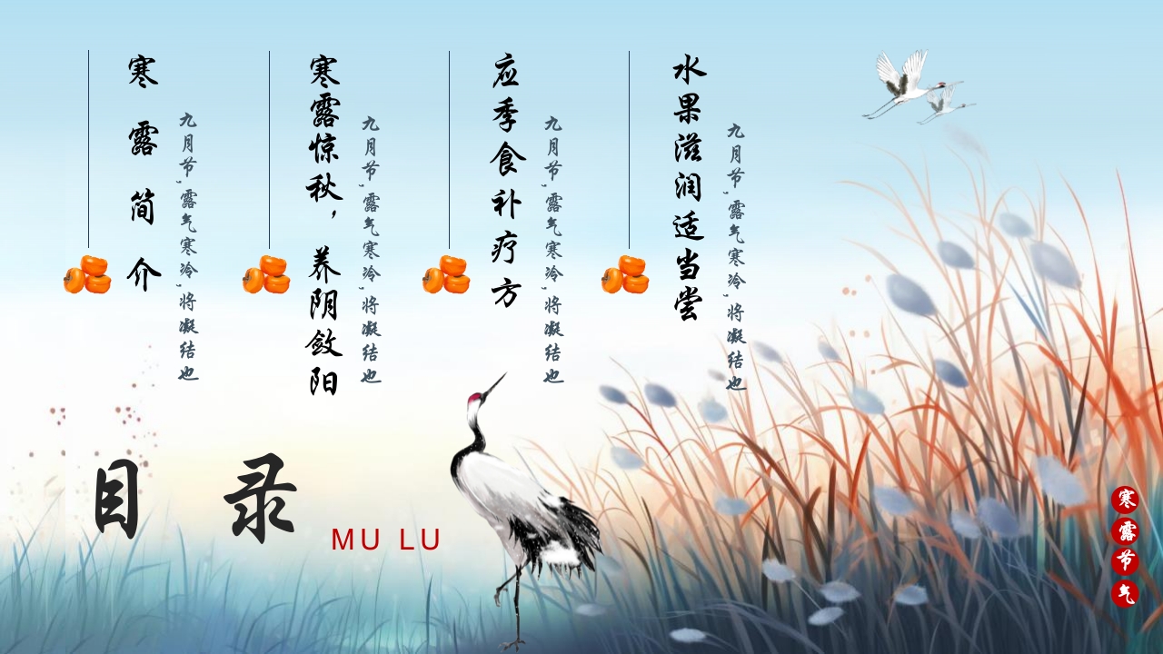 蓝色插画风深秋寒露谈养生PPT2