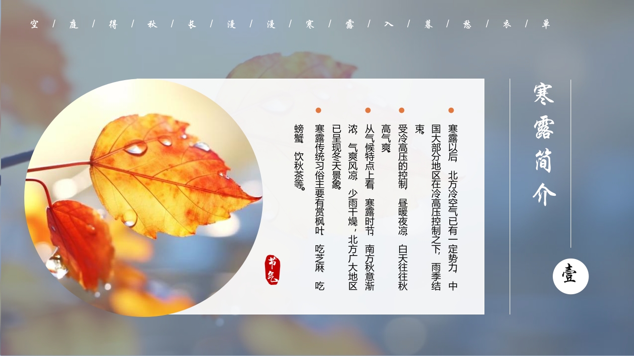蓝色插画风深秋寒露谈养生PPT5