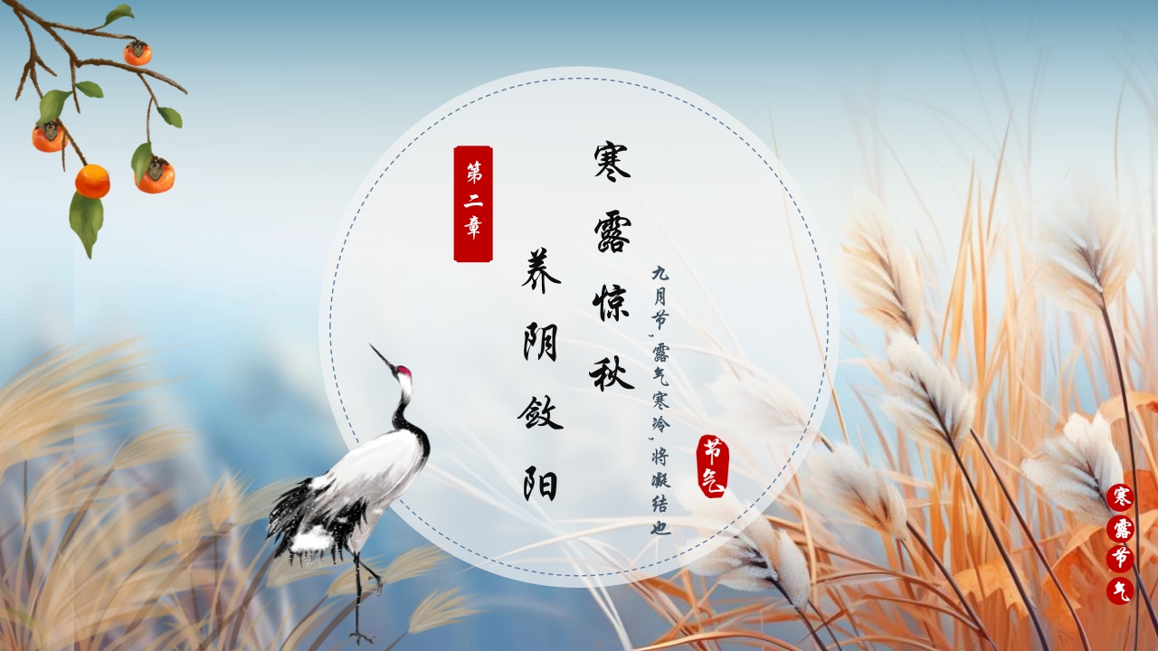 蓝色插画风深秋寒露谈养生PPT6