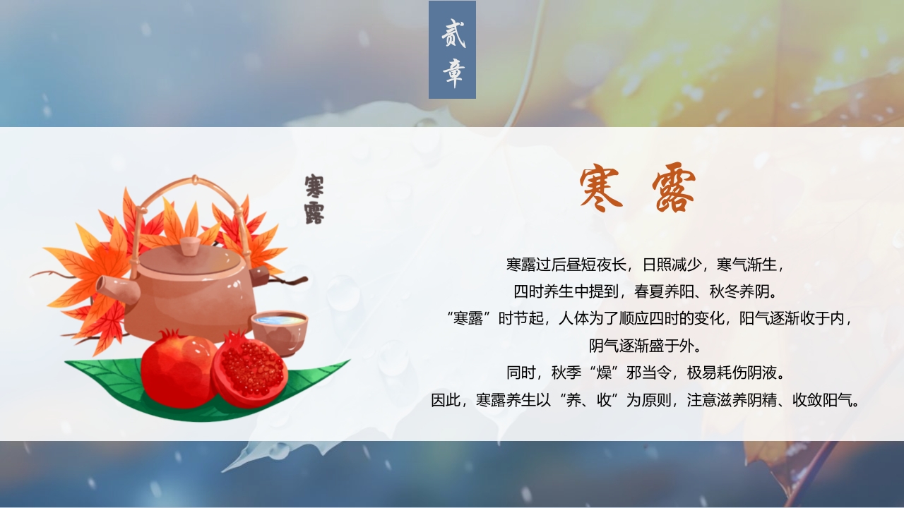 蓝色插画风深秋寒露谈养生PPT7