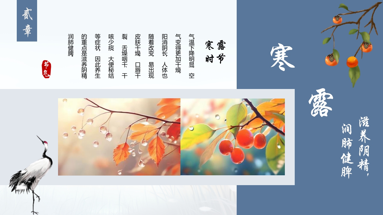 蓝色插画风深秋寒露谈养生PPT8