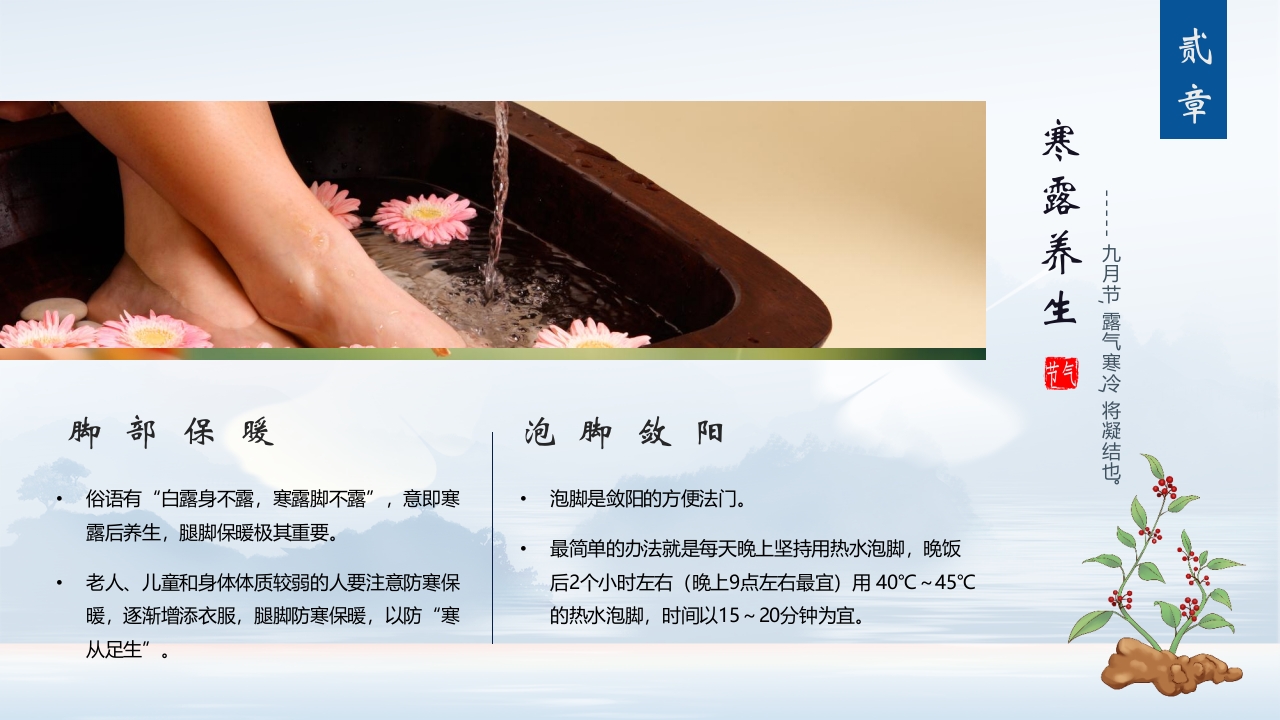 中国风寒露养生知识教育PPT课件13