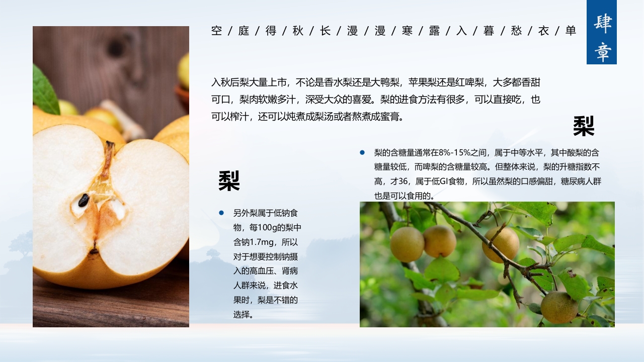 中国风寒露养生知识教育PPT课件20