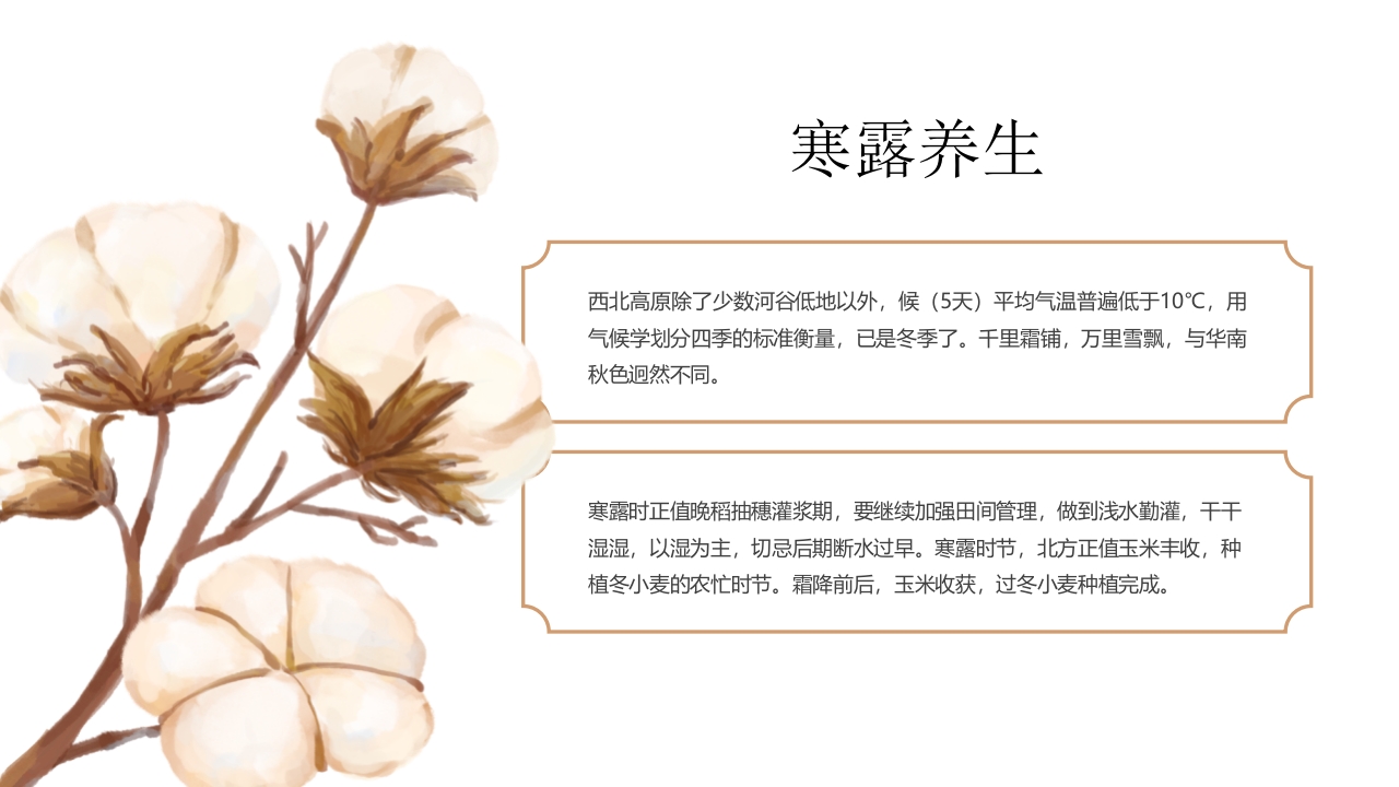 中国二十四节气·寒露PPT课件12