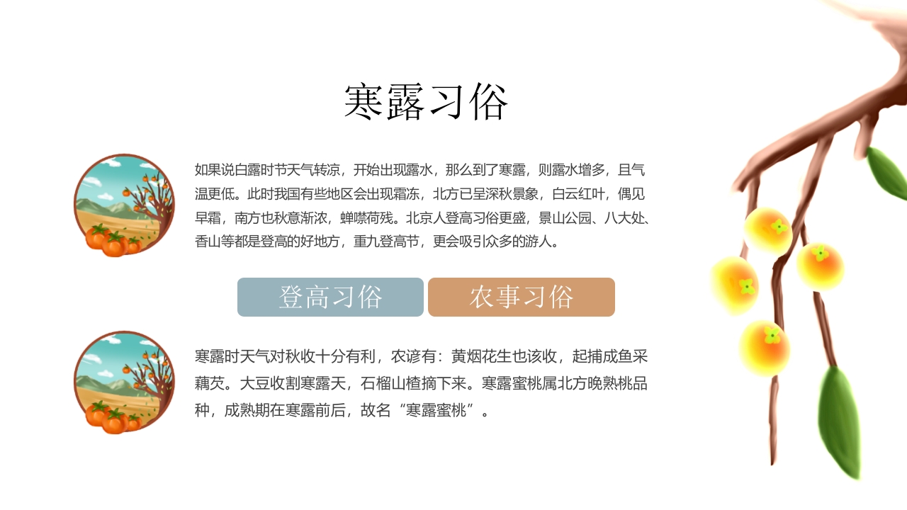 中国二十四节气·寒露PPT课件18