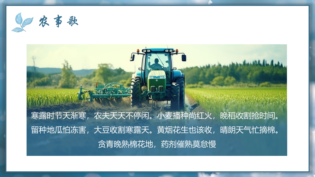 二十四节气之寒露节气介绍PPT课件17