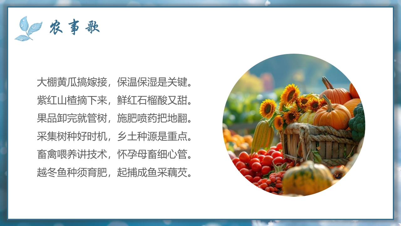 二十四节气之寒露节气介绍PPT课件18