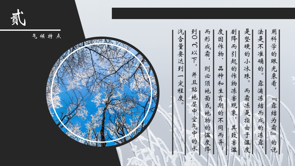 挂满霜的松树背景的霜降节气介绍PPT课件10