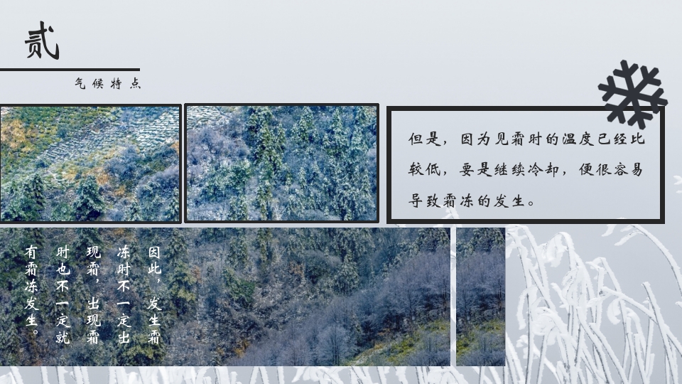 挂满霜的松树背景的霜降节气介绍PPT课件11