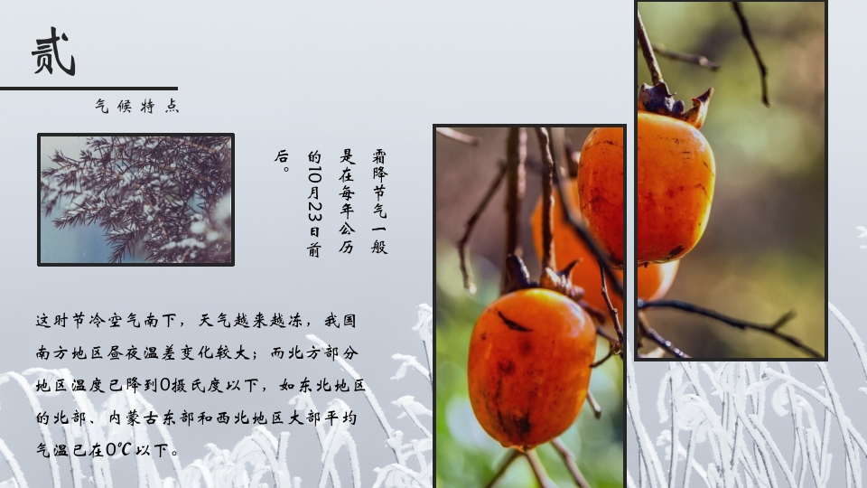 挂满霜的松树背景的霜降节气介绍PPT课件12