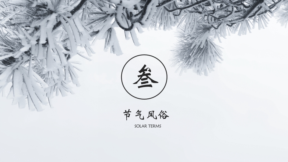 挂满霜的松树背景的霜降节气介绍PPT课件13