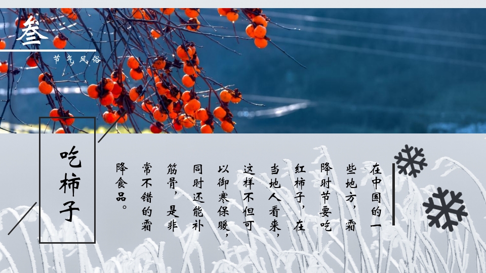 挂满霜的松树背景的霜降节气介绍PPT课件14