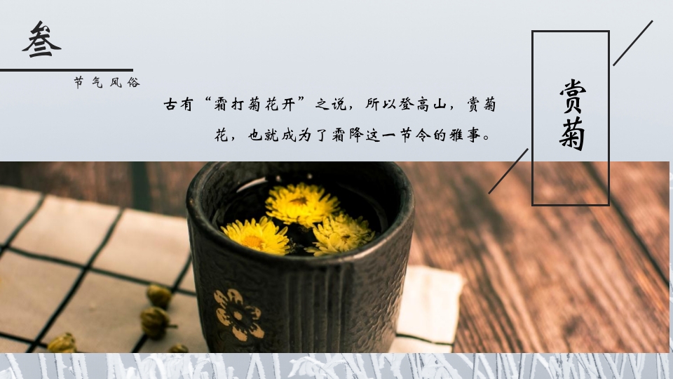 挂满霜的松树背景的霜降节气介绍PPT课件15