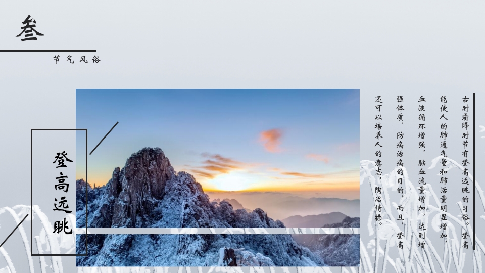 挂满霜的松树背景的霜降节气介绍PPT课件16