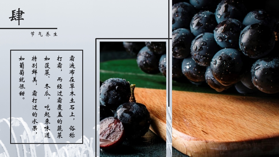 挂满霜的松树背景的霜降节气介绍PPT课件20