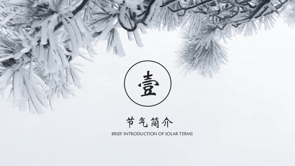 挂满霜的松树背景的霜降节气介绍PPT课件3