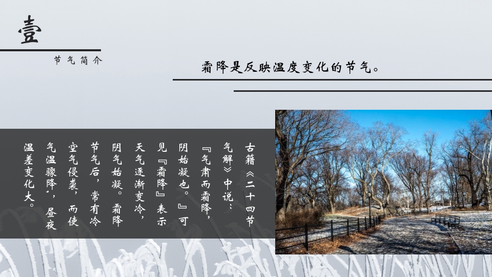 挂满霜的松树背景的霜降节气介绍PPT课件5