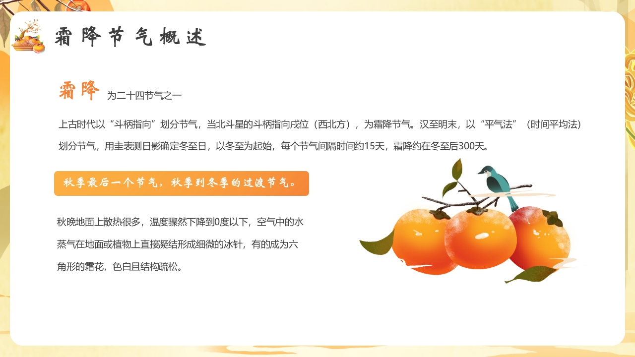 柿子背景的霜降节气介绍PPT课件4