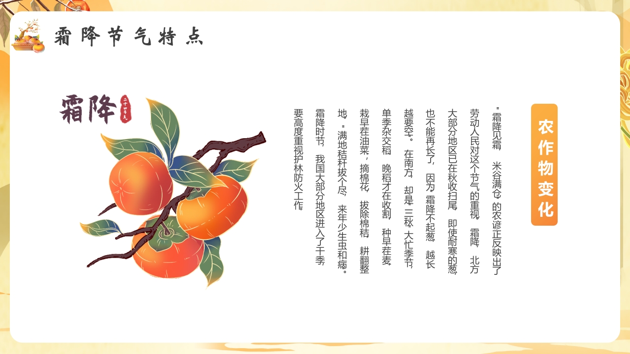 柿子背景的霜降节气介绍PPT课件8