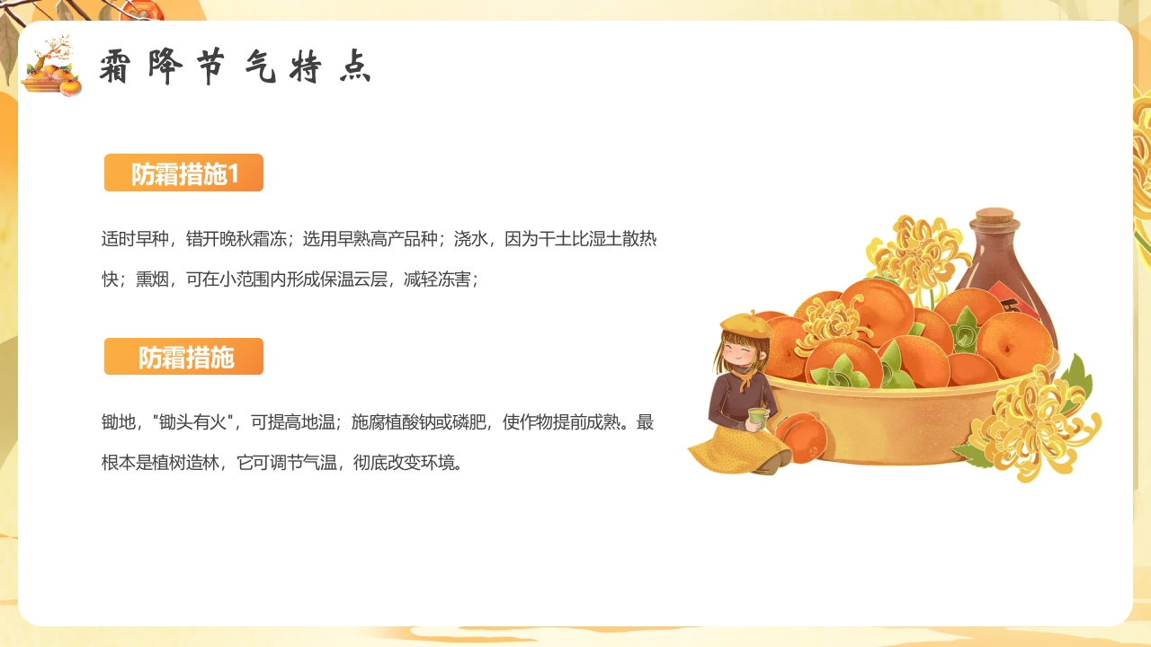 柿子背景的霜降节气介绍PPT课件9